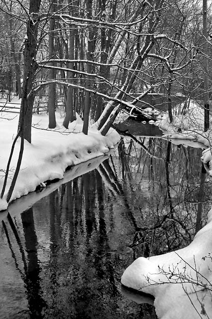 CRW_0025.jpg