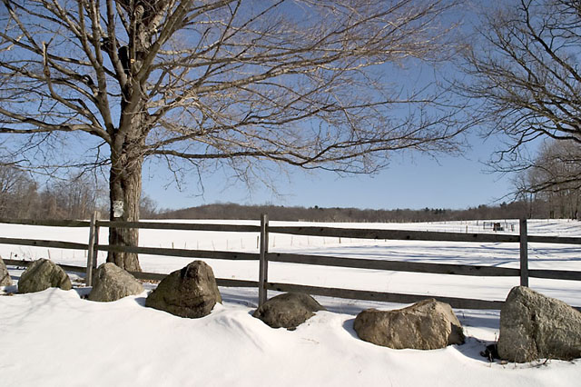 CRW_0010.jpg