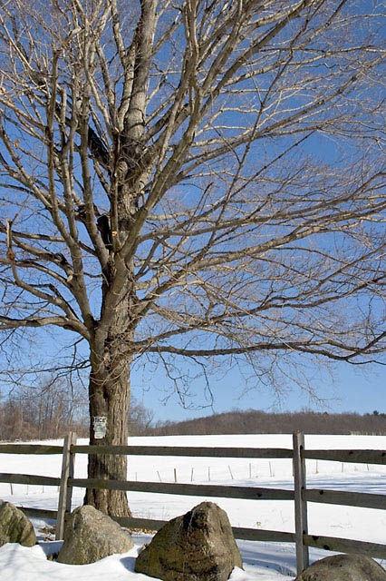 CRW_0011.jpg