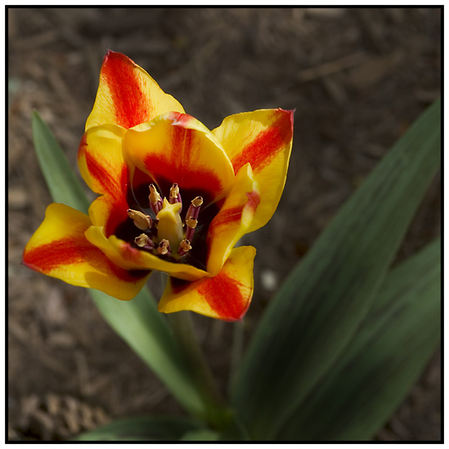 CRW_0017.jpg