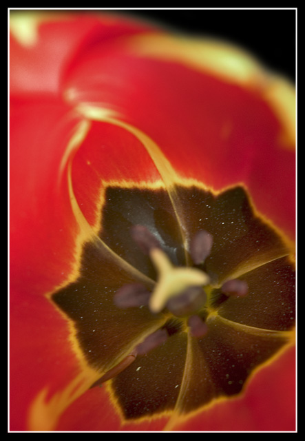 CRW_0022.jpg