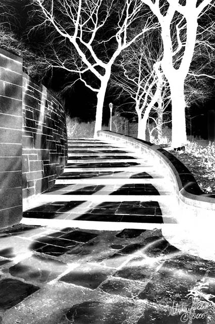 In the Negative