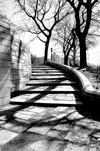 Original shot Conversion from "In The Negative"