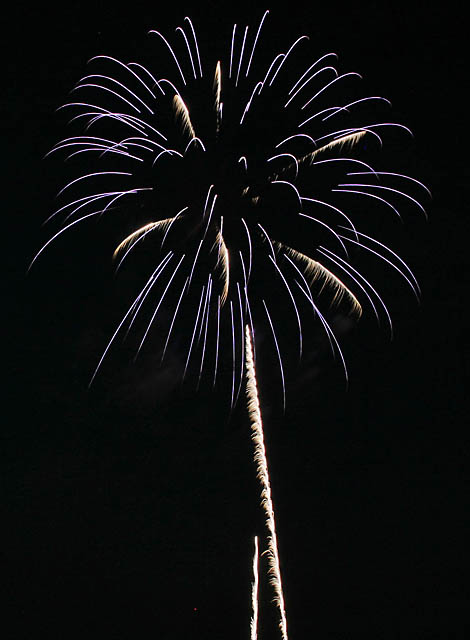 SF_Kensico70307_162.JPG