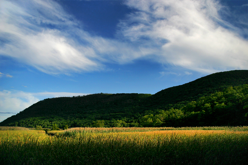 Bear Mountain