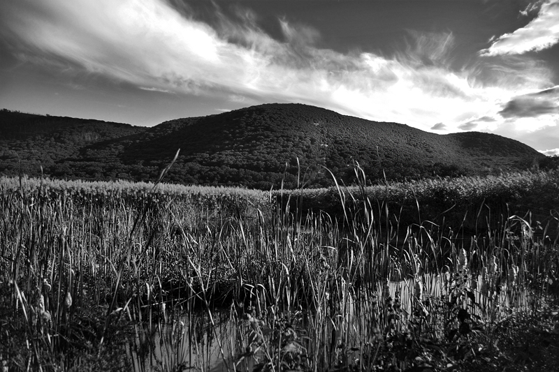 Bear Mountain