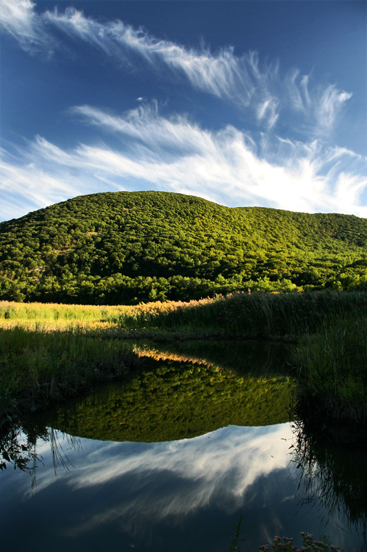 Iona Mirrored