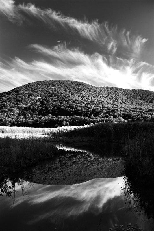 Iona Mirrored
