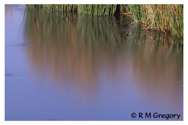 Exmoor Pond