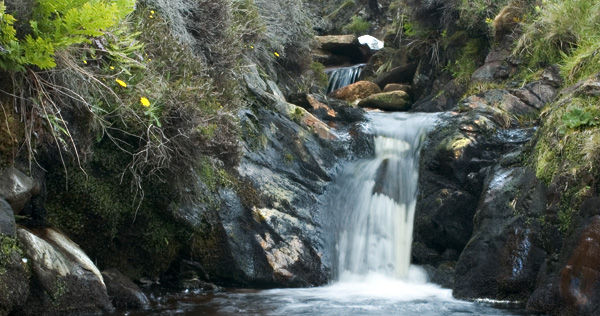 waterfall.jpg