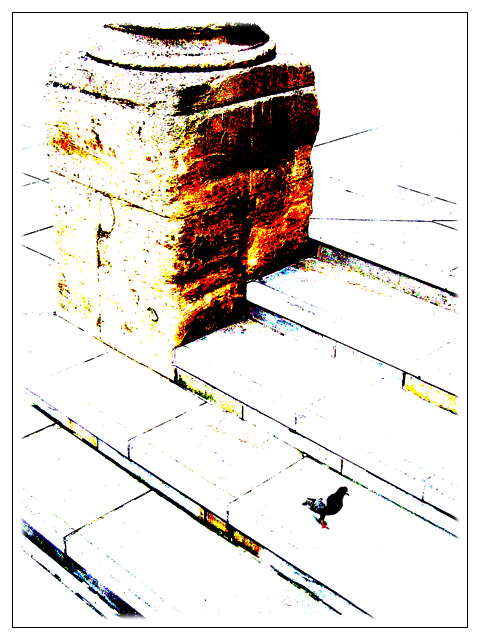 Town Hall Steps & a Pidgeon