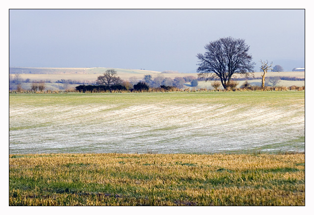 Cotswold Frost