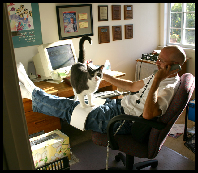 pets-2-IMG_5638.jpg