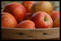 Still Life Apples