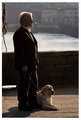 Il Cane