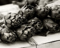 Carciofi