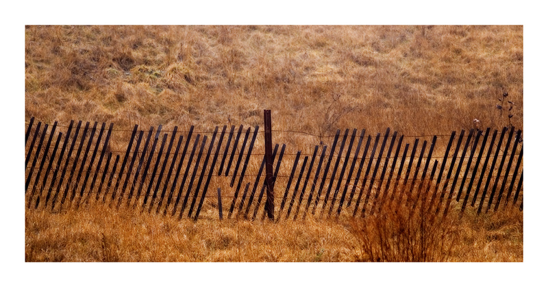 Fenceline