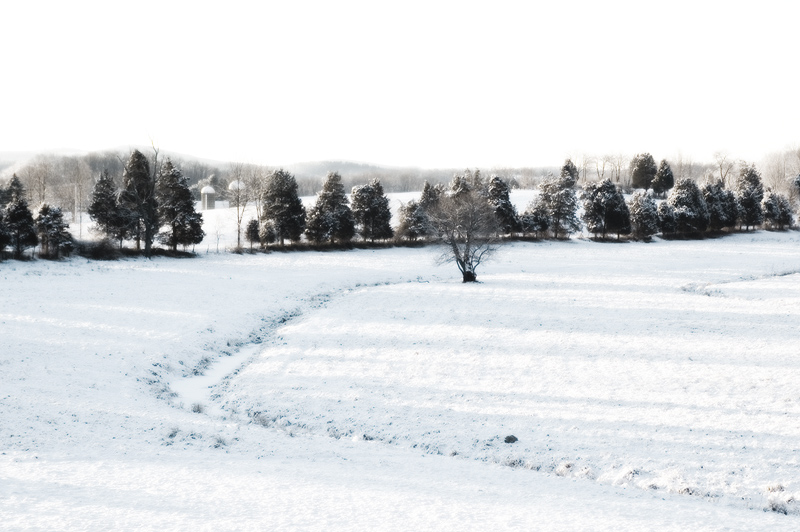 Winter Stream