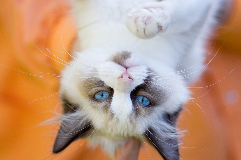 Hanging Out