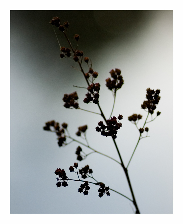 Simplicity