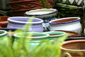 Pots.jpg