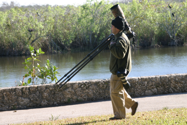 Shooting-in-the-Glades.jpg