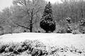Snowy Graveyard