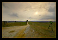 The lonely Road