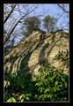 Cliff at the Breaks