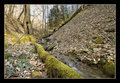 Creek, Laurel Lake WMA