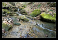 Drainage, Laurel Lake WMA