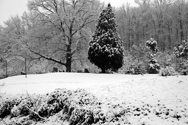 Snowy Graveyard