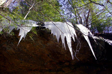 Spring Thaw