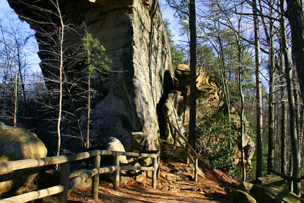 The Natural Bridge