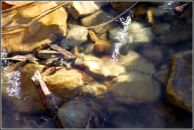 Painted Stream