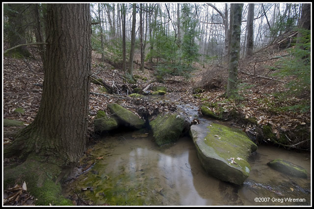 Paintsville Lake Outdoor Classroom