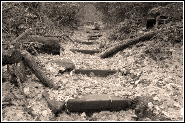 Trail at the Breaks
