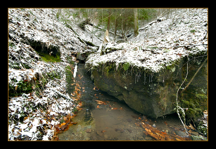 New Snow Laurel Lake WMA