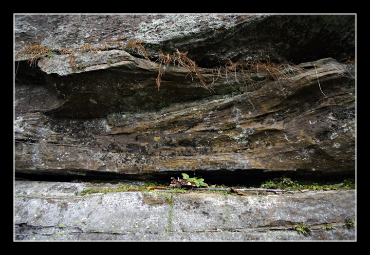 Cliff At Angel WIngs Red River Gorge