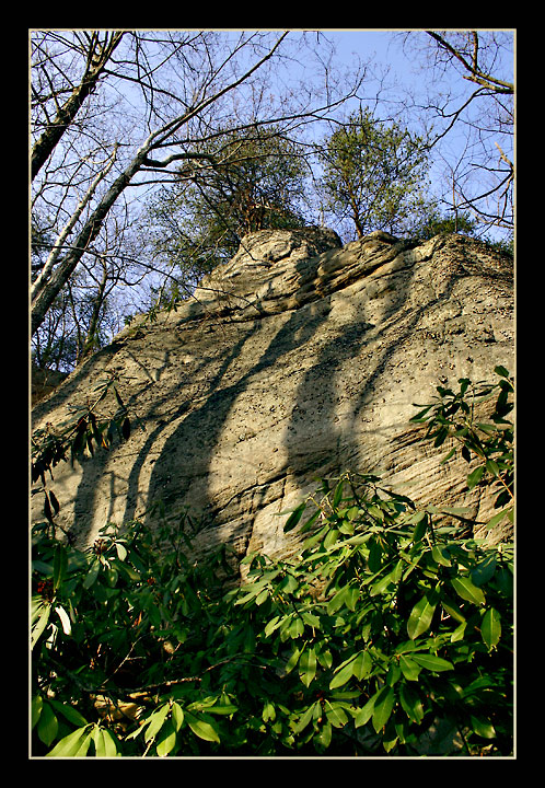 Cliff at the Breaks