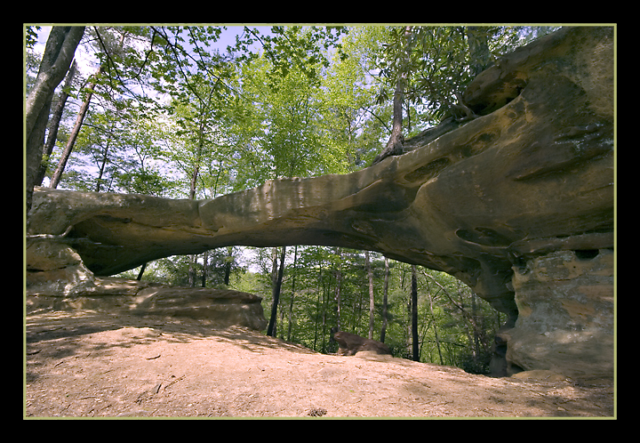 Princess Arch