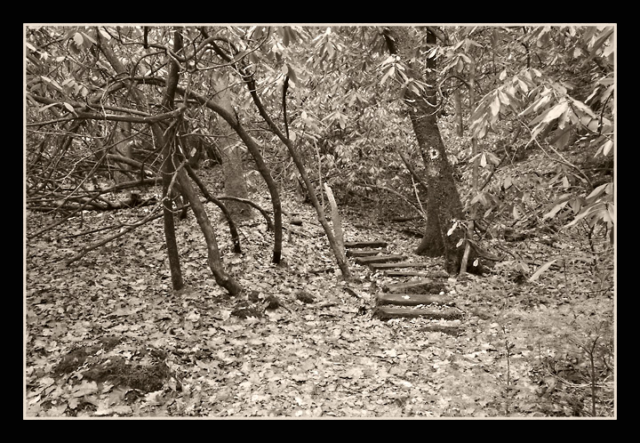 Cold Springs Trail