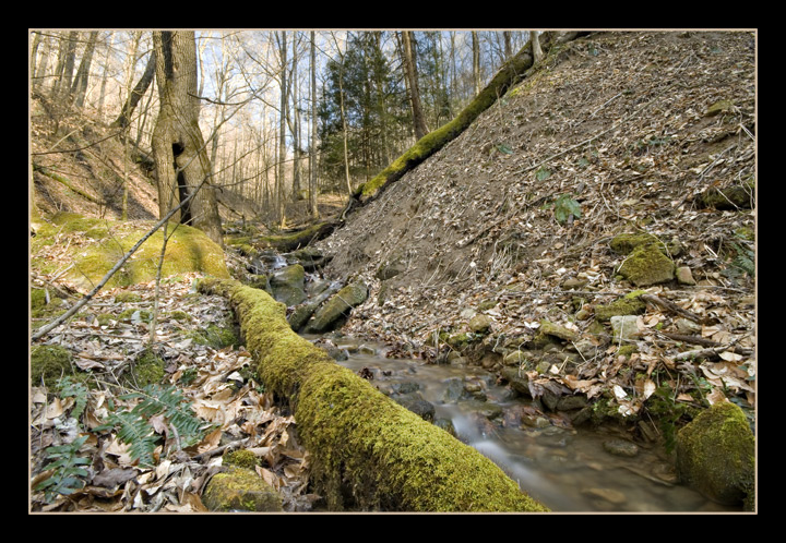 Creek, Laurel Lake WMA