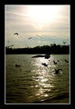 lake.jpg