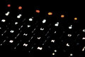 macro7.jpg