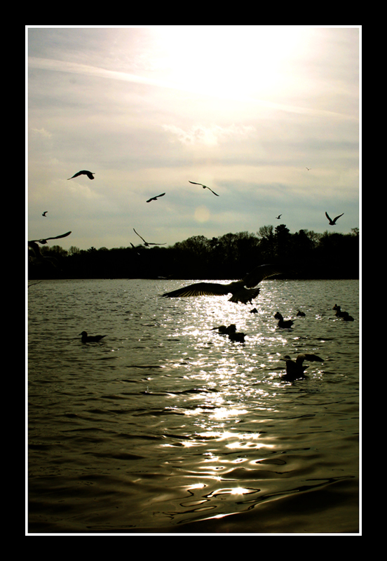 lake.jpg