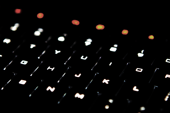 macro7.jpg