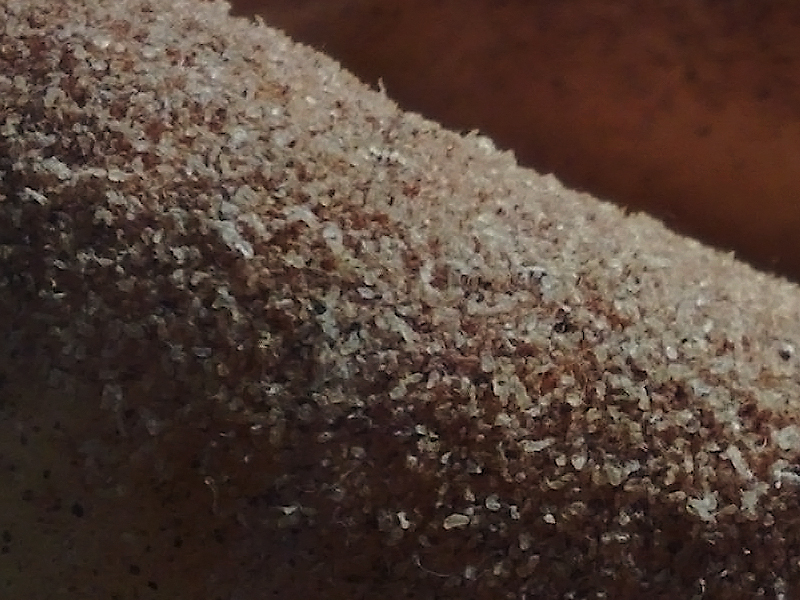 100%crop-cinn-pretzel.jpg
