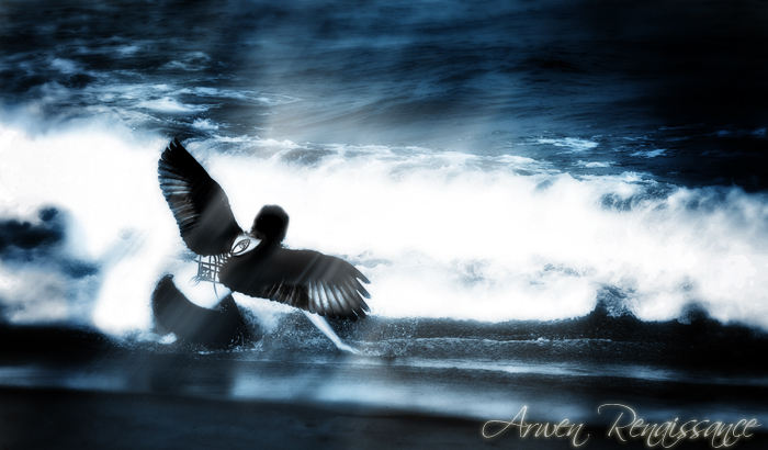 The Fallen One
