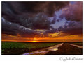 Fires In The Sky